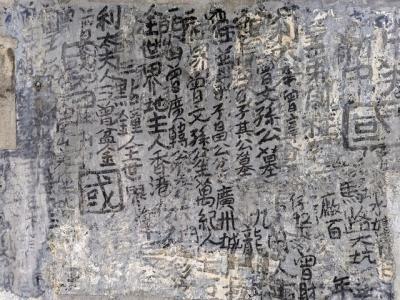 旧正月前の旺角花墟 と 園圃街雀鳥花園 と 修復され公開された九龍皇帝の作品