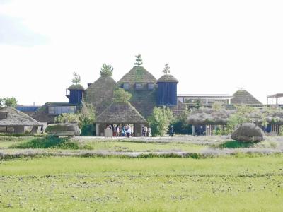 待って待ってーの近江八幡とおとぎの国のラコリーナ、おまけの京都山科聖天さん