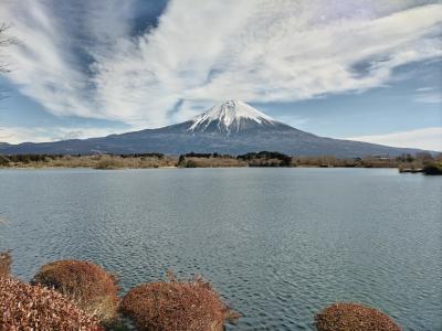 朝、テレビに写った富士山が綺麗だったからドライブしよう