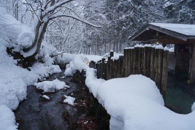 雪景色を観にみちのくへ