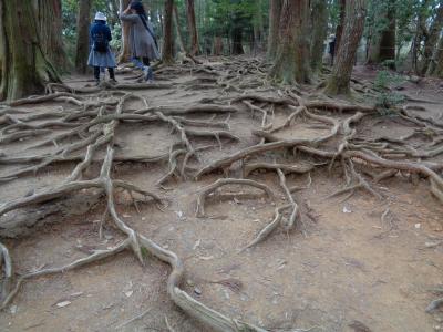 寺社探し【京都・鞍馬寺と貴船神社（Kurama Temple &amp; Kifune Jinja）編】