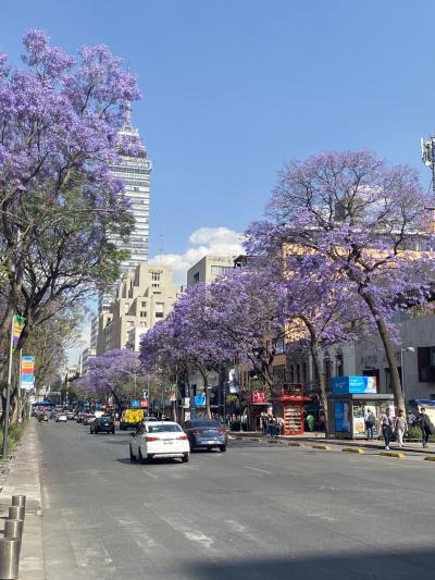 メキシコシティ2泊5日弾丸父娘旅