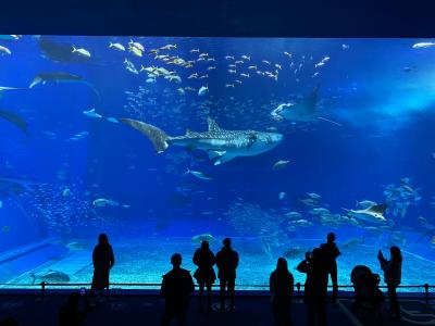 美ら海水族館を初訪問