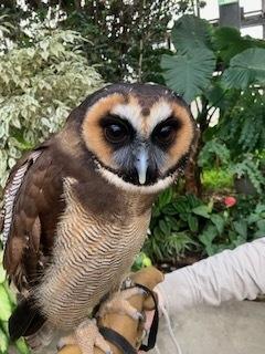 神社にお参り、どうぶつにお参り、ルミナリエ