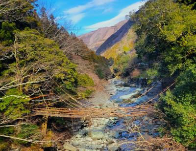 徳島、祖谷のかずら橋に行きたくて。