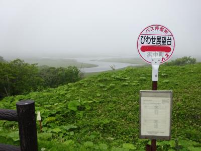 浜中町営バスで琵琶瀬展望台訪問