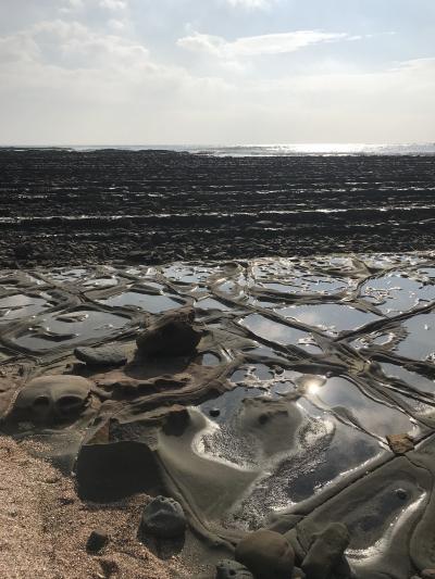 4日目①・日南白浜海岸の鬼の洗濯板は絶対見たいと、干潮時間を選んで絶景を見に行く・と・青島神社参拝