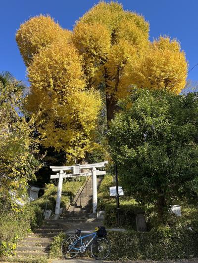 2023年12月10日　朝のモーニング銭湯サイクリング、午後の肥後細川庭園、夕方のたこ焼きビール