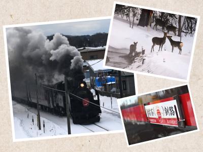 冬の釧路でプハーっと はしご酒*からの、川湯温泉＆SL冬の湿原号.*SL列車はラララララ行くよー.*