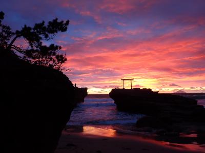 1月の伊豆下田へ水仙を見に行って来ました!!1日目＆2日目朝ー2024.1ー