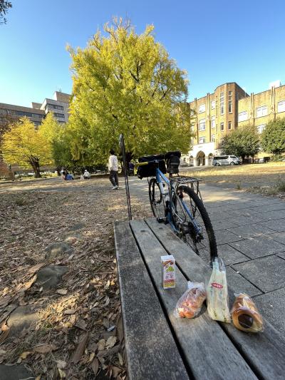 2023年11月24日　東京平日サイクリング　本郷、上野