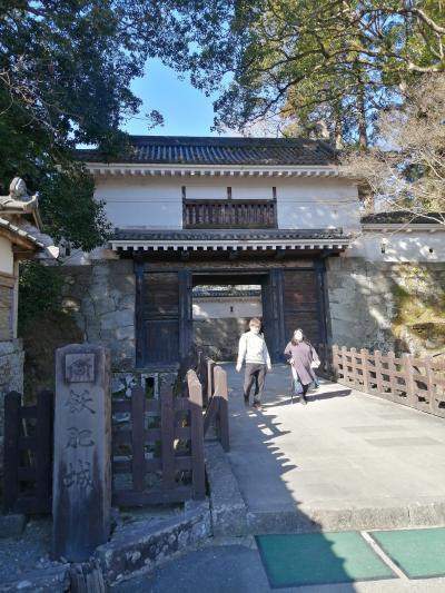 2024年1月大隅・飫肥旅行記２　飫肥編