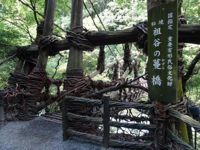 四国満喫旅★高知はりまや橋と徳島祖谷の蔓橋（３日目①）