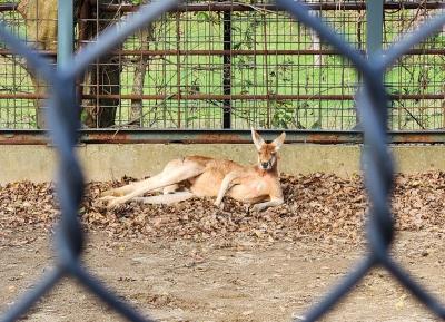 激レア動物に会えちゃう！大森山動物園で"可愛い"探し&#9825;