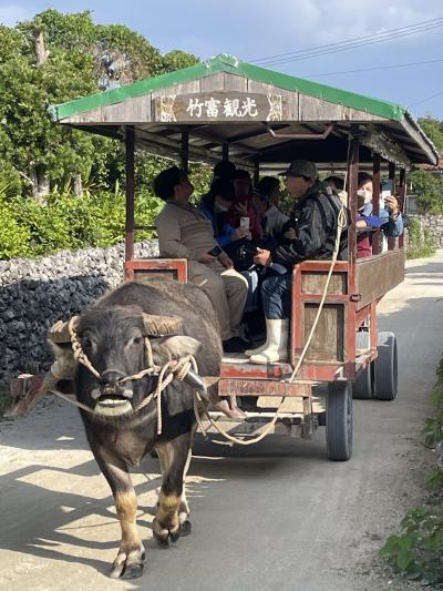 八重山旅行【竹富島】６日目前半