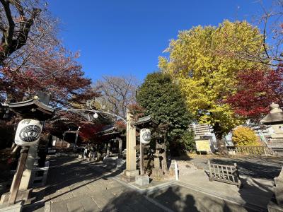 2023年12月　普段の写真