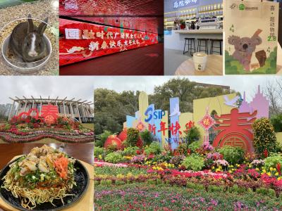 ２月の蘇州その１　春節ムードの蘇州　后院咖啡でカフェタイム　　新区の泉屋の子うさぎちゃん　淮海街でお好み焼きランチ　除夕の蘇州