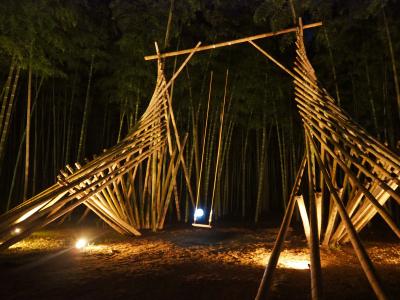 ２０２３年 宇都宮にある「若竹の杜」の竹林ライトアップを見に行ってきました