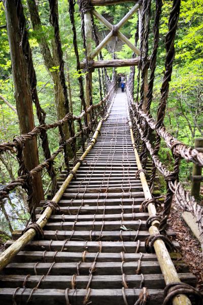 行きたかった場所へ②ー祖谷峡