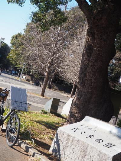 あしあとを辿る旅　41　世田谷中町&#12316;渋谷&#12316;表参道&#12316;青山