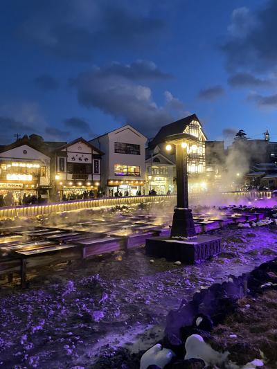 草津温泉１泊２日：大東館、食べ歩き、魚民、プリンス軽井沢アウトレット、つるとんたん、等