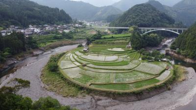 あらぎ島は漕げずに撤退してきました