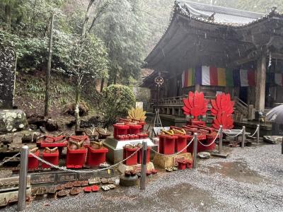 雨だけれど大雄山最乗寺へ。
