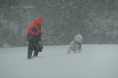 旅猫ズCRESSONで行く～ゆったり５連泊別府温泉旅・往路旅編（往路は大雪警報発令）