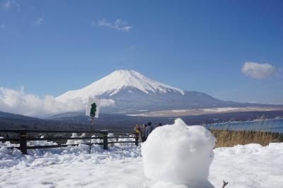 あめちゃん夫婦の旅物語 2024年2月 2泊3日の湯河原温泉～忍野八海～富士市コンサート　2日目～3日目