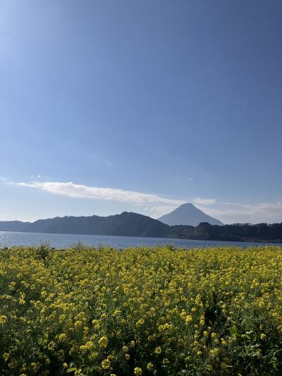 温泉と春をさがして鹿児島をぶらりする旅