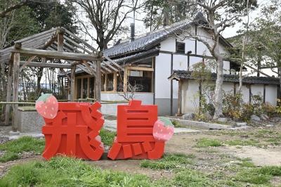 いちごの季節到来♪ 明日香村ストロベリーフェア / キトラ古墳壁画公開 / 自動運転バス実証実験乗車