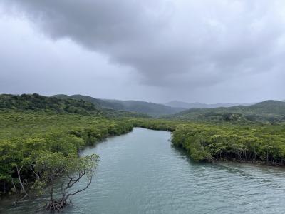 八重山冬のお試し一人旅　西表島編