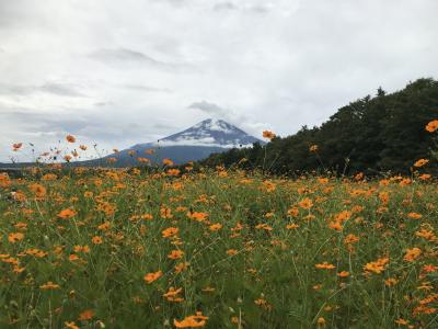 富士五湖周辺の旅