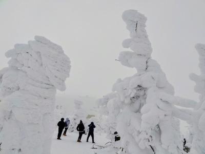 蔵王の樹氷を観に行っちゃお ♪♪