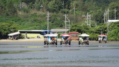 離島めぐり～西表島・由布島・小浜島へ