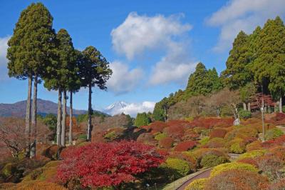 １２月の箱根に泊まる