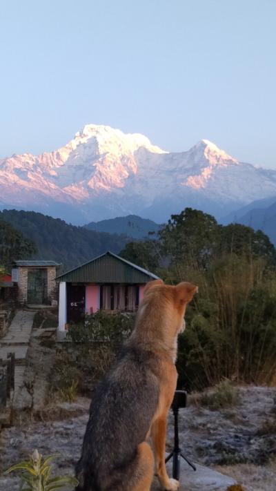 ヒマラヤの山を見にネパールへ