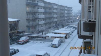 今年初めてのふじみ野市の大雪風景