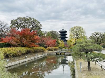京都観光1日目は東寺、東本願寺と錦市場商店街。
