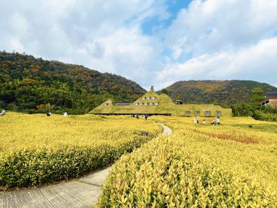 はじめまして滋賀大津＆近江八幡ぎゅっと観光