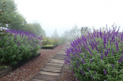 信州の鎌倉旅♪　Vol.35 ☆東御：霧のヴィラデスト・ガーデン・ファーム♪