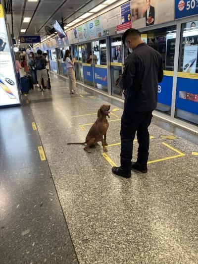 2023年末年始 3 バンコク帰りの韓国仁川