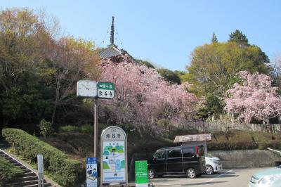 四国を車で一周　夕食対策にIHや鍋で自炊節約旅　１