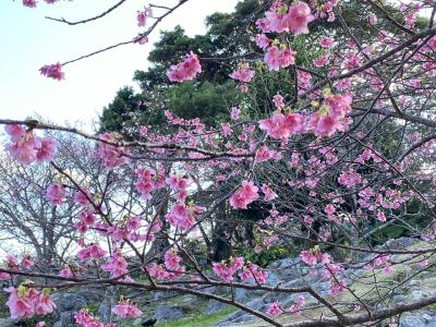 100名城沖縄一人旅1日目