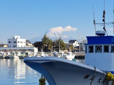 「用宗ハイキング」　2024.01.10(水)