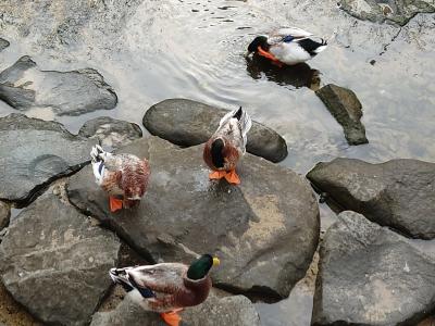 下関 色町跡を歩く旅②