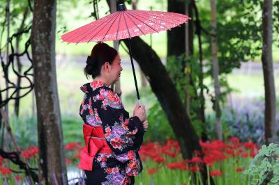 岐阜県 やすらぎの林の彼岸花