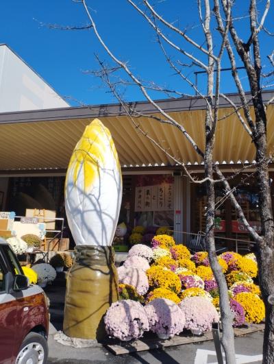 2023年11月岐阜県中津川1　ちこり村→JR中津川駅→栗きんとん発祥の地→にぎわい特産館