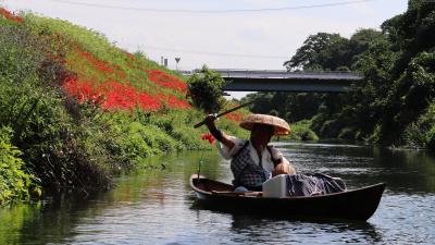 津谷川の彼岸花を川から眺めてきました