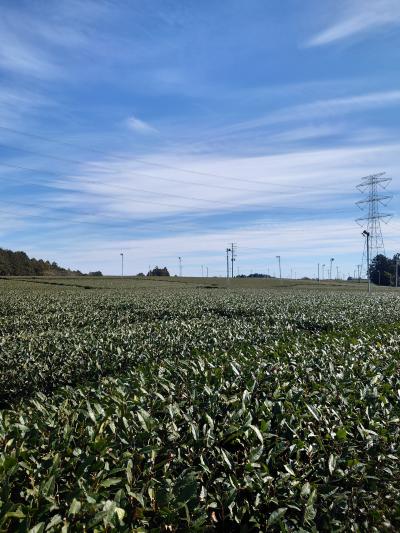 (リベンジ)牡蠣かば丼ありきの旅行...というかおでかけ...